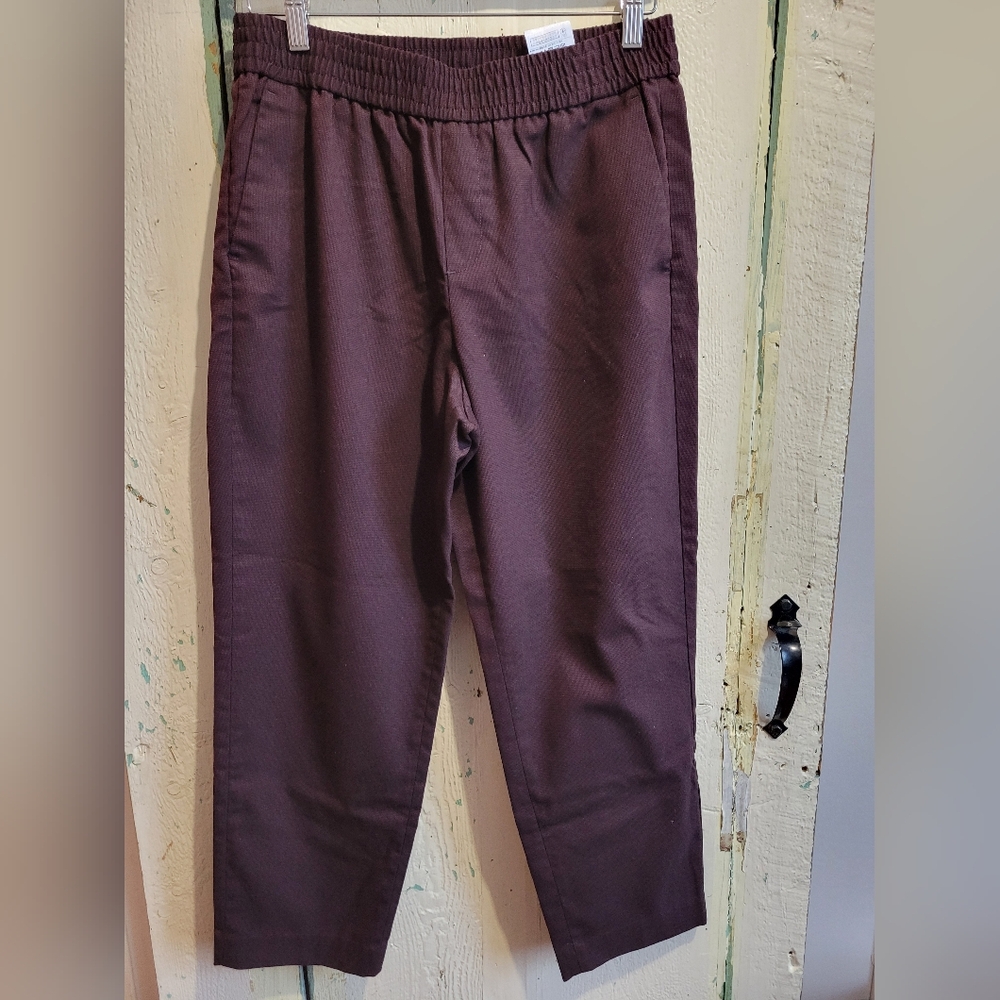 Banana Republic Trouser Jogger in Deep Plum
